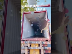 چندرنگ بچه ها با دستگير تلسکوپي